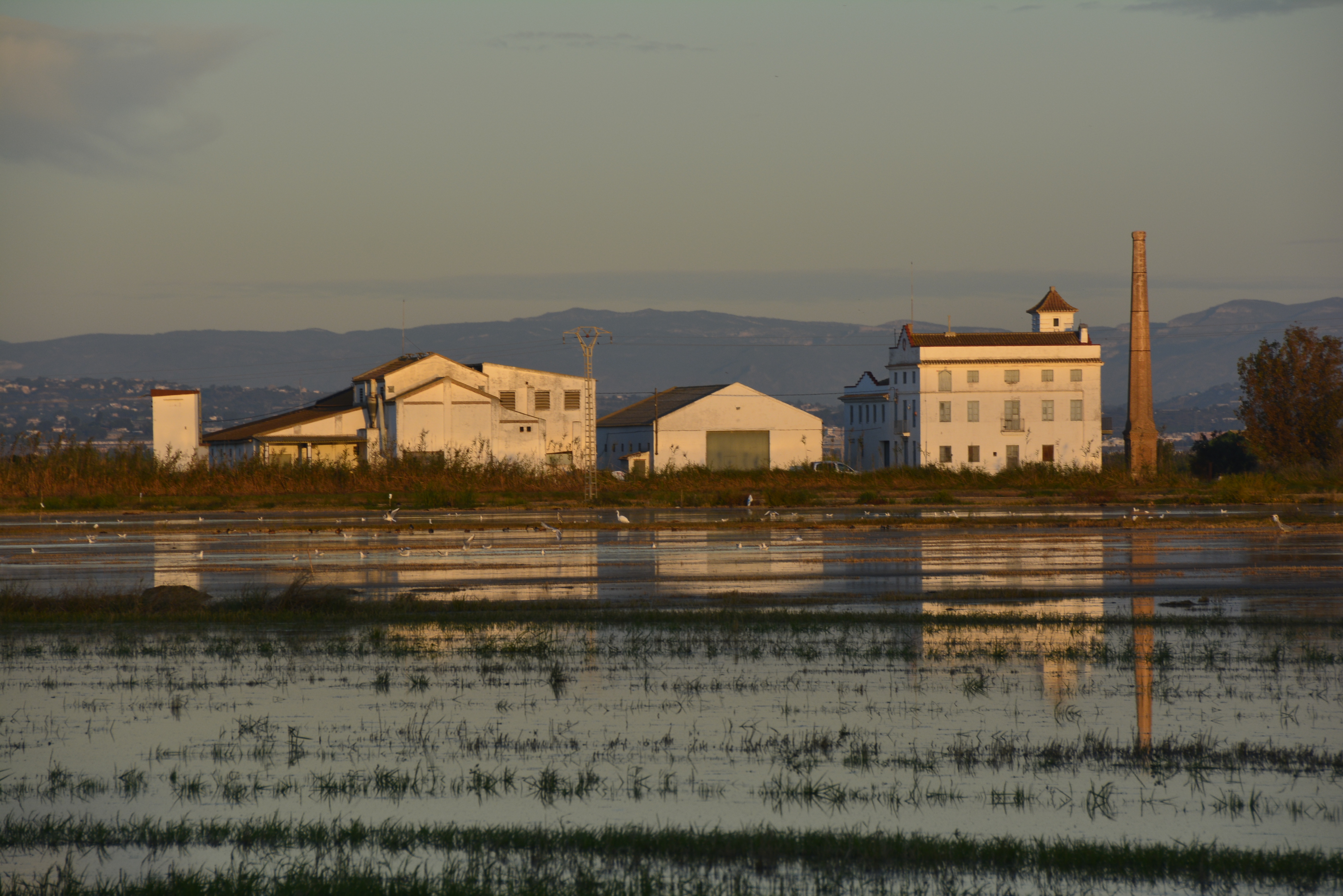 L’Albufera. Arrozal inundado y construcciones industriales tradicionales